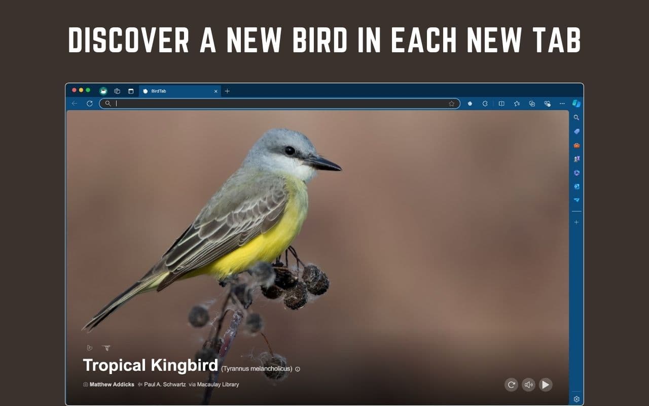 BirdTab screenshot 1