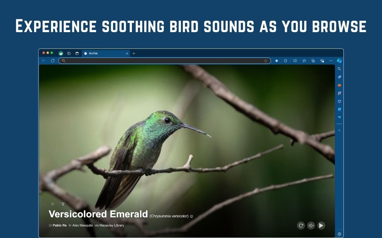 BirdTab screenshot 3